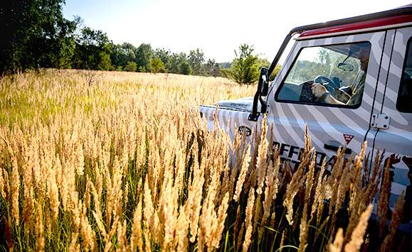 Bild 4x4 Off-road Fahren
