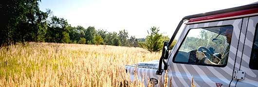 Obrázek pro Offroadové řízení