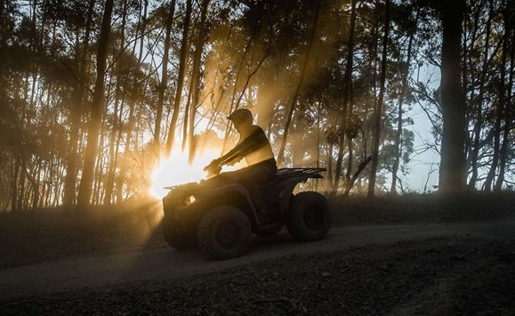 yamaha-grizzly-quadbikes-gallery-1.jpg