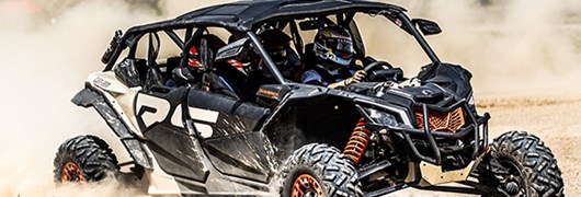 Image for page Racing Buggy